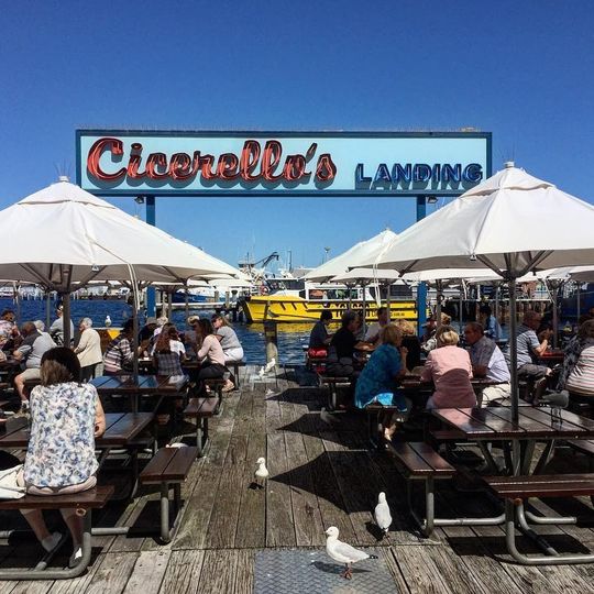 Cicerello's Fremantle