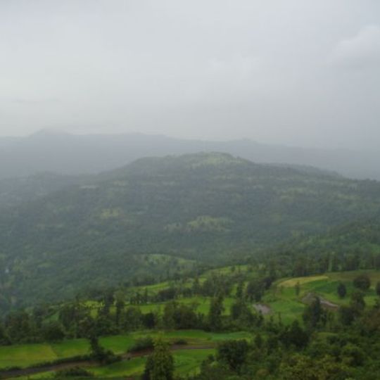 Wilson Hills