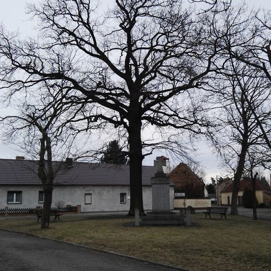 Naturdenkmal Stieleiche Kastanienplatz „Kaiser-Wilhelm-Eiche“ in Schwarzheide