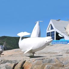 Marine Mammal Interpretation Centre