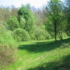 Kyrykove Tract Reserve