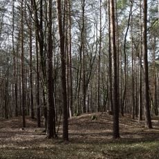 Barrow cemetery Groß Hard