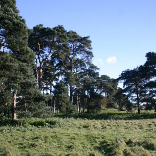 Deadman's Grave, Icklingham