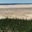 Kobuk Valley Sand Dunes