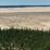 Kobuk Valley Sand Dunes