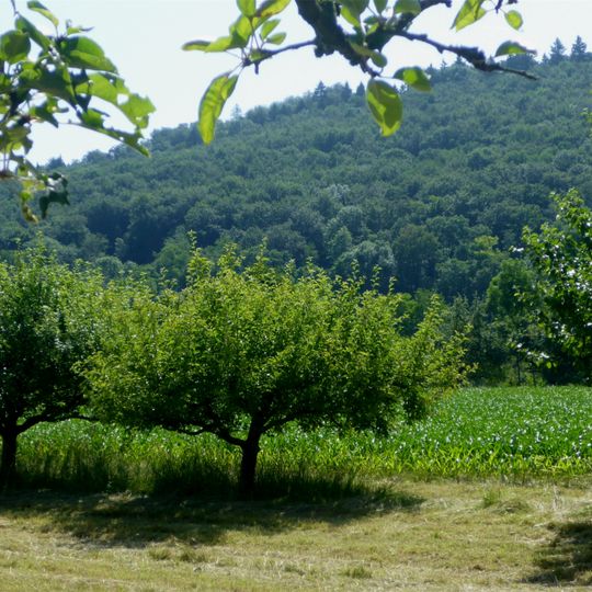 Grötzinger Bergwald–Knittelberg