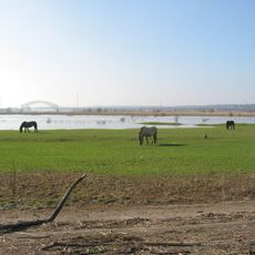 Stadsblokken-Meinerswijk