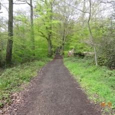 Bois du Grand Bon Dieu