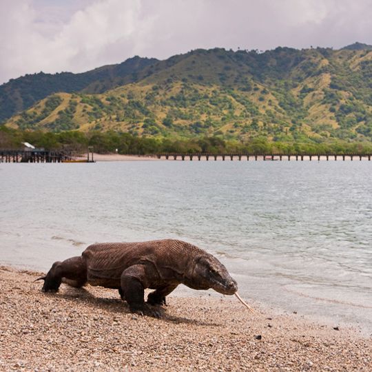 Komodo National Park