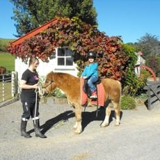 Living Springs Farm Park
