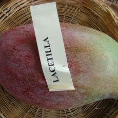 Lancetilla Botanical Garden