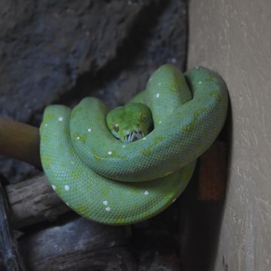 La Ferme des Reptiles