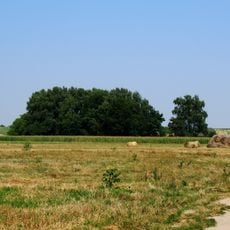 World War I cemetery in Kolonia Pęcławska
