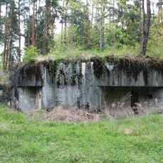 MO-S 25 Ve vysokém lese casemate