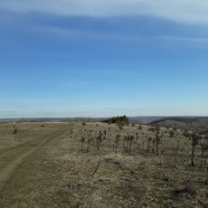 Așezare - Hansca - III