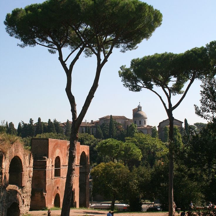 Aqua Claudia