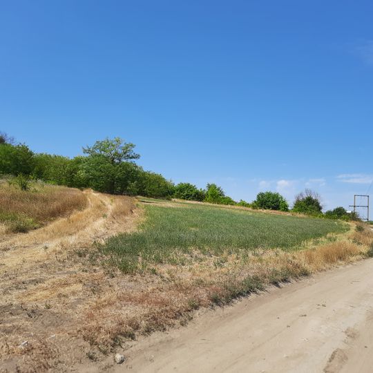 Băcioi V settlement