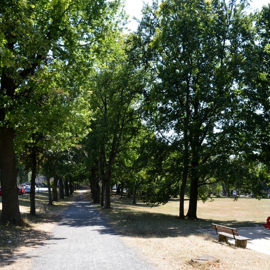 Pappel-, Eichen- und Buchenbestand an der Wachtelpforte