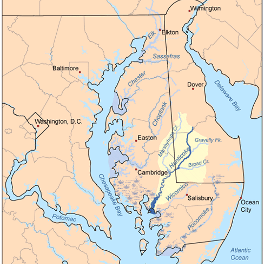 Sharkfin Shoal Light