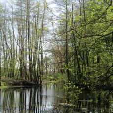 Mühlenteich Krimpenforter Mühle