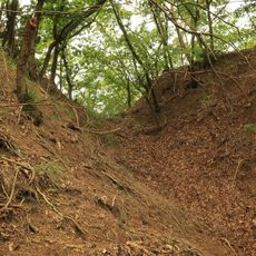 入山城跡