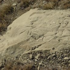 Paskapoo Formation