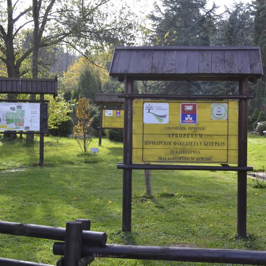 Arboretum Šumarskog fakulteta