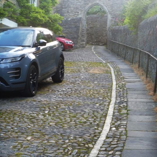 Cobble Stones On Roadway