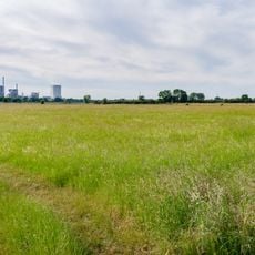 Forschungsrevier im Orsoyer Rheinbogen