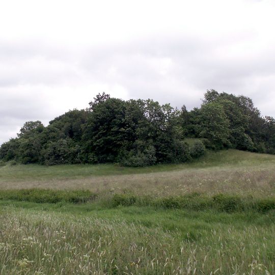 Hillfort Valėnai
