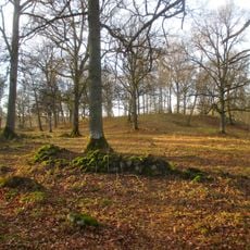 Väsmestorps naturreservat