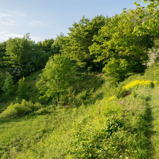 Biotopkomplex am Mühlenturm