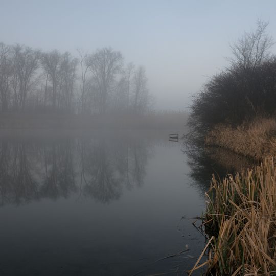 Novosilkivs'kyi Entomological Preserve