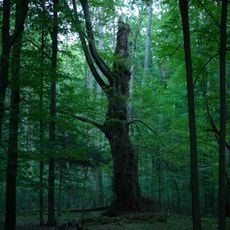 Rezerwat przyrody Jastkowice