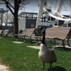 Parc du Bassin-Bonsecours