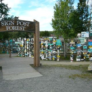 Der Sign Post Forest