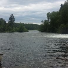 Cedartree Lake
