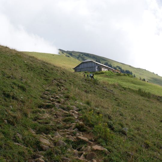 Pâturage alpestre Stoangerhöhe