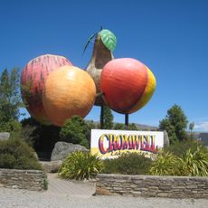 Big Fruit