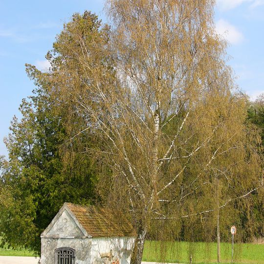 Kapelle Maria, Hilfe der Christen