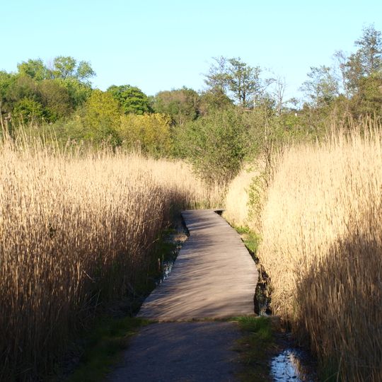 Tröndelsee und Umgebung