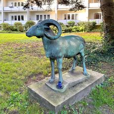 Mufflonschaf