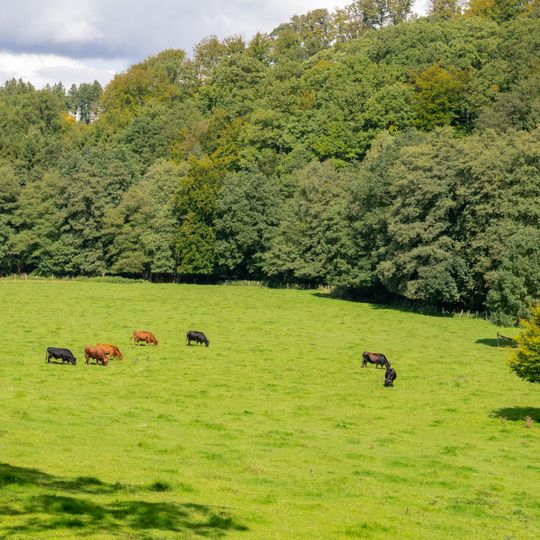 LSG Seitentäler von Alme und Afte