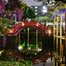 Drum Bridge at Kameidō Tenjin Shrine