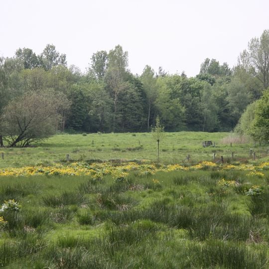 Stellmoorer Tunneltal/Höltigbaum
