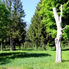 Velykoanadol's'kyy Zakaznyk