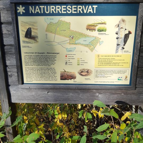 Djupsjön-Römmaberget