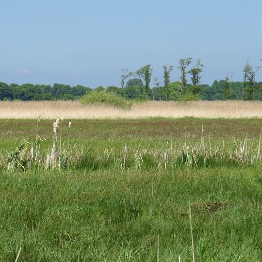 Fleinsee/Altluneberger See