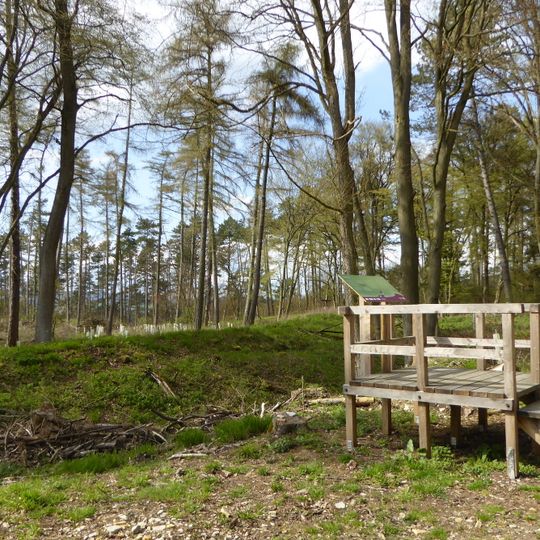 Hünenburg bei Dransfeld