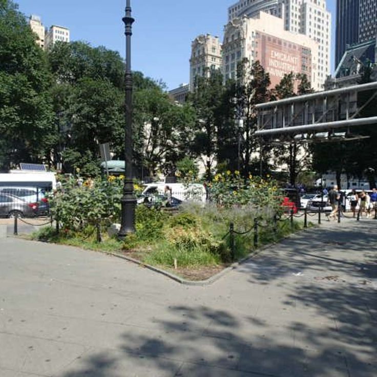 Living Memorial Grove